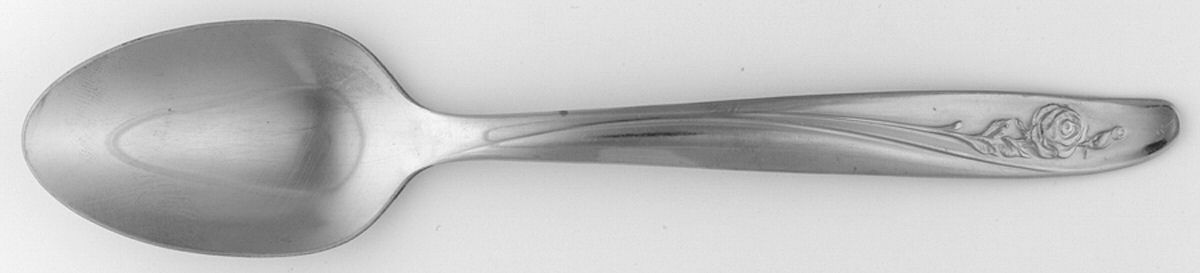 Roseanne (Stainless) Teaspoon by Oneida Silver-1