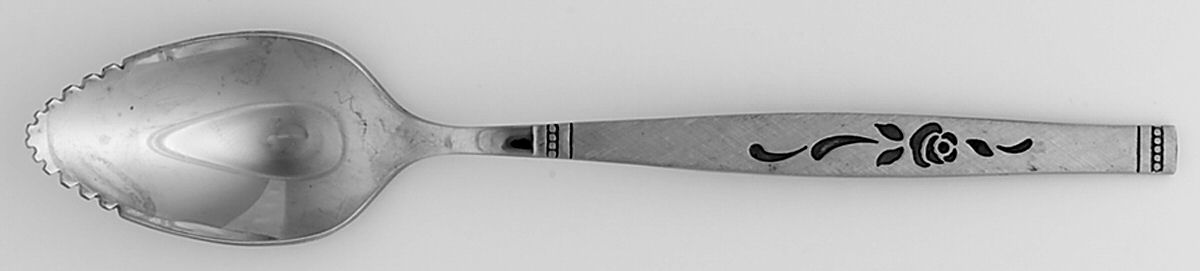 Rosewood (Stainless) Fruit/Orange Spoon by Oneida Silver-1