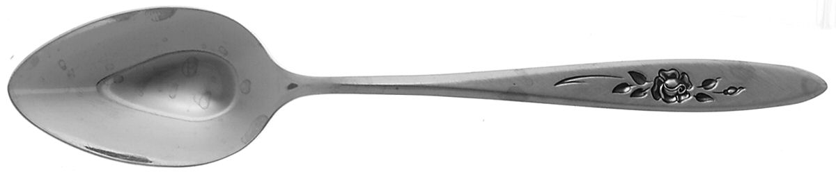 Rose Shadow (Stainless) Teaspoon by Oneida Silver-1
