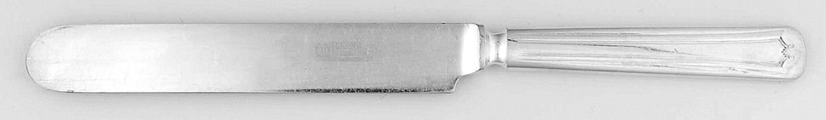 Salem (Silverplate, 1915) Blunt Solid Knife by Oneida Silver-1