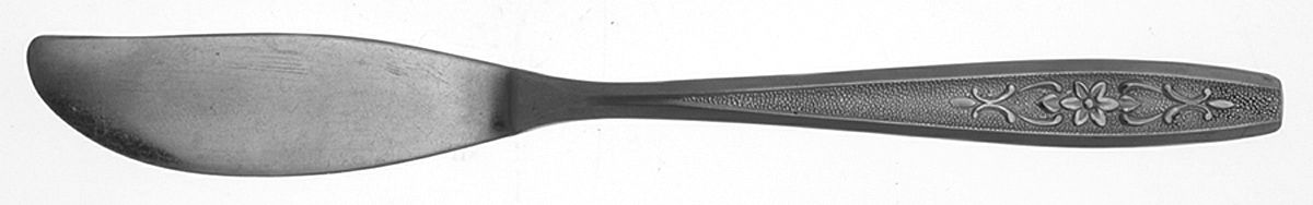 San Miguel (Stainless) Flat Handle Master Butter Knife by Oneida Silver-1