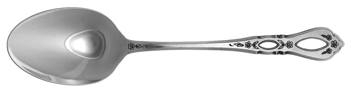 Schubert (Stainless) Tablespoon (Serving Spoon) by Oneida Silver-1