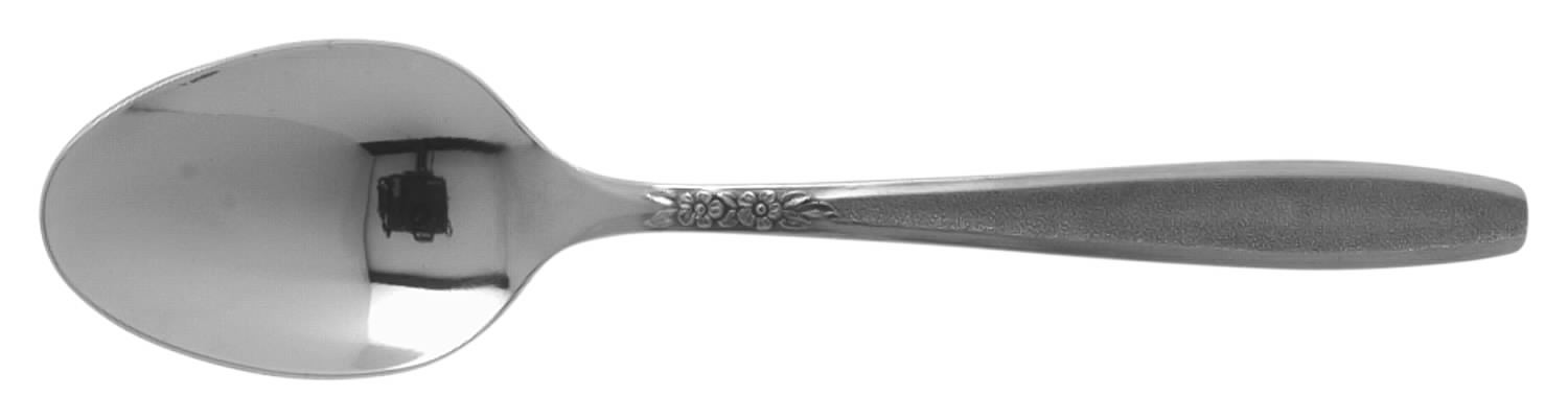 Seaflower (Stainless) Teaspoon by Oneida Silver-1