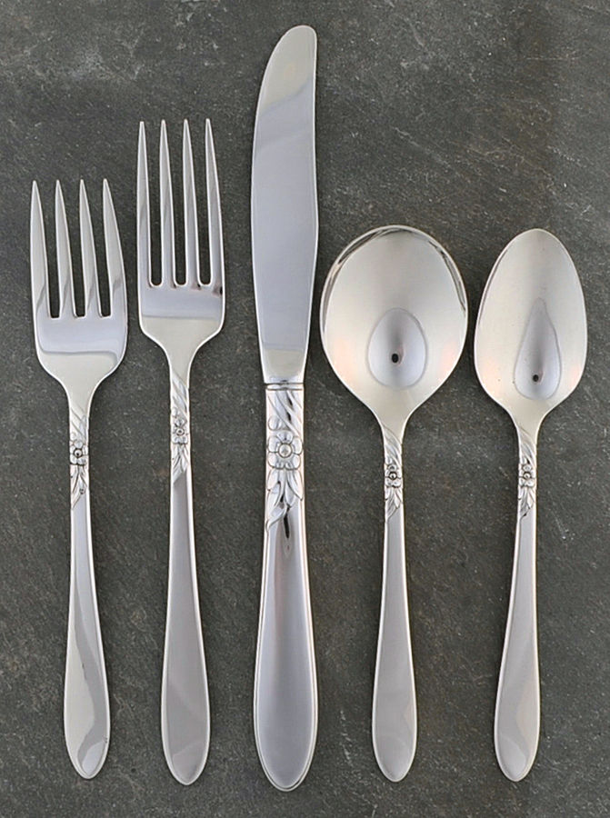 Sea Breeze (Stainless) 5 Piece Place Setting by Oneida Silver-1