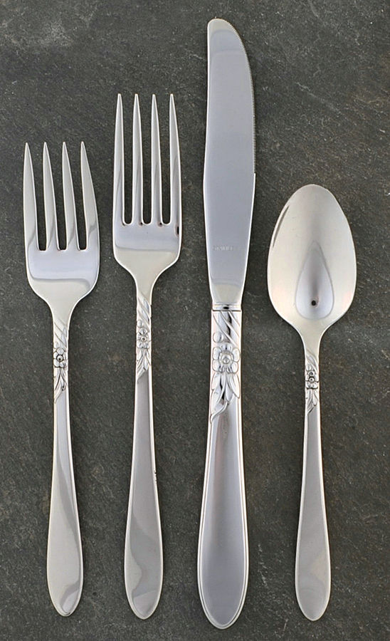 Sea Breeze (Stainless) 4 Piece Place Setting by Oneida Silver-1