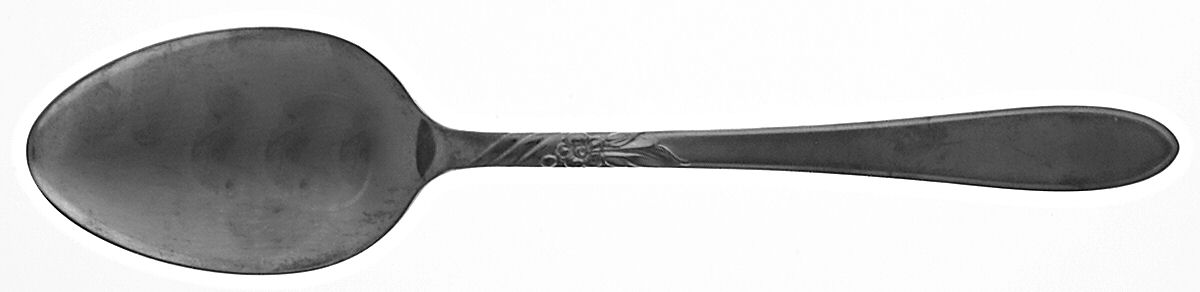 Sea Breeze (Stainless) Tablespoon (Serving Spoon) by Oneida Silver-1