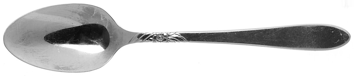 Sea Breeze (Stainless) Teaspoon by Oneida Silver-1