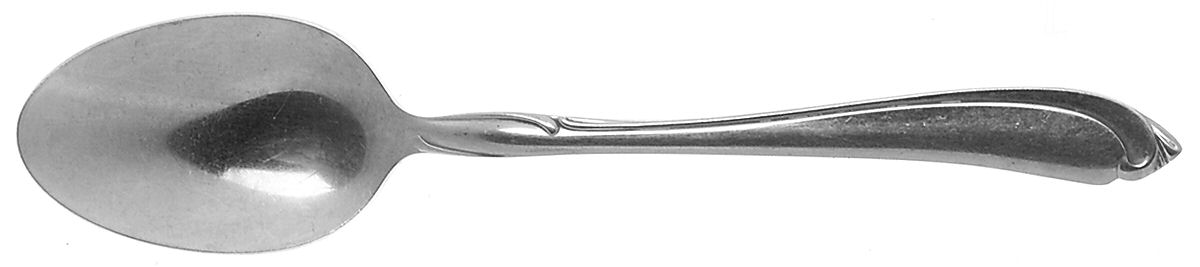 Shasta (Stainless) Teaspoon by Oneida Silver-1