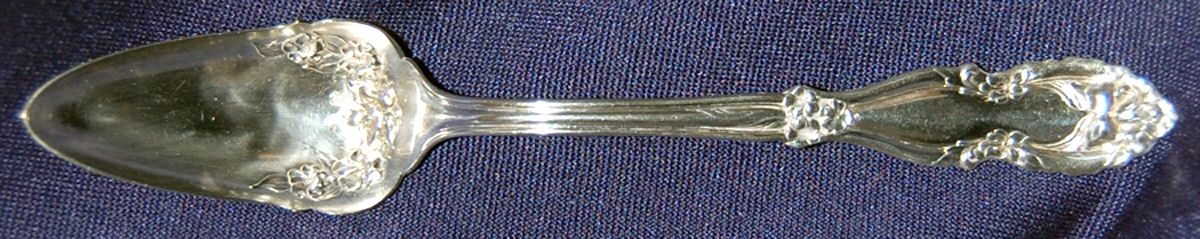 Sherwood (Silverplate, 1913) Orange Spoon by Oneida Silver-1