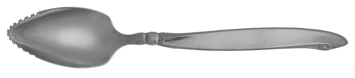 Shoreline (Stainless, Glossy Finish) Fruit/Orange Spoon by Oneida Silver-1