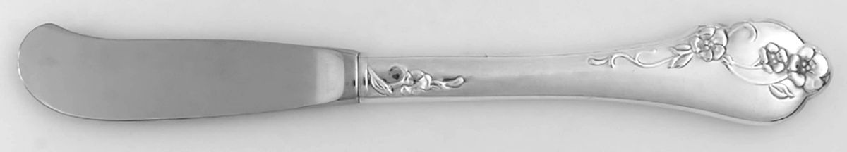 Southern Garden (Silverplate, 1989) Butter Spreader Hollow Hdl-Paddle/Stainless Blade by Oneida Silver-1