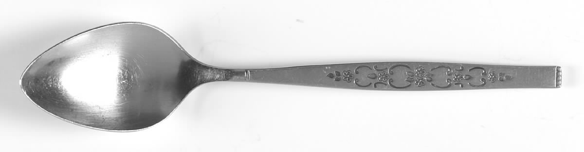 Spanada (Stainless) Teaspoon by Oneida Silver-1