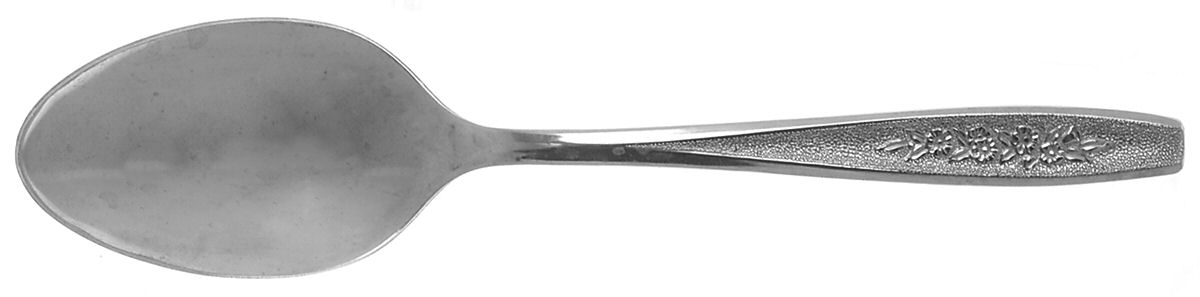 Spring Ballad (Stainless) Tablespoon (Serving Spoon) by Oneida Silver-1
