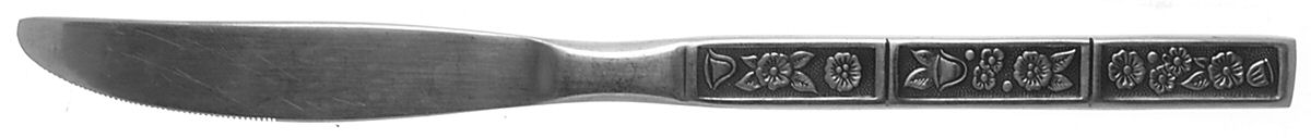 Spring Fever (Stainless) Modern Solid Knife by Oneida Silver-1