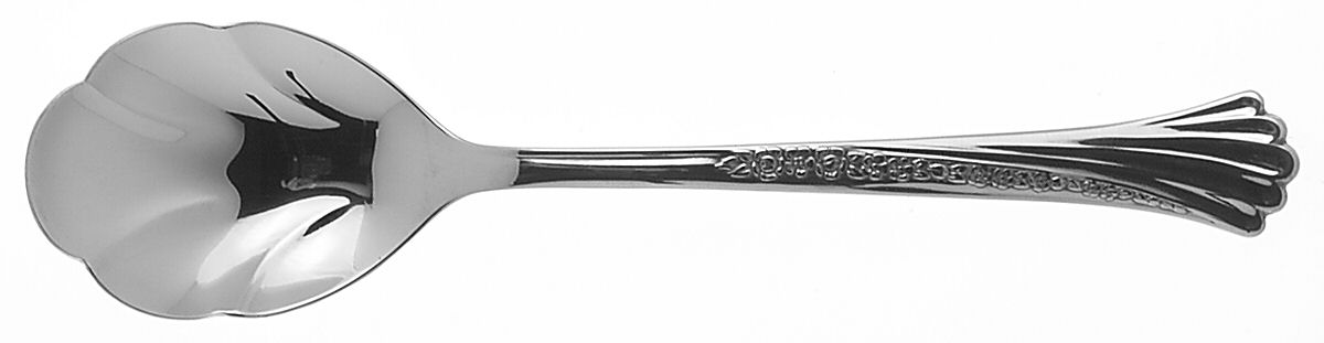 Spring Glen (Stainless) Sugar Shell Spoon by Oneida Silver-1
