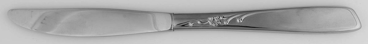 Spice (Stainless) Modern Hollow Knife by Oneida Silver-1