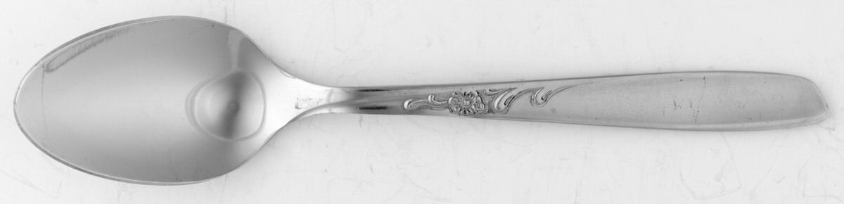 Spice (Stainless) Five O'Clock Teaspoon by Oneida Silver-1