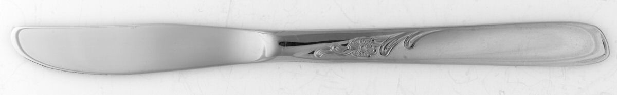 Spice (Stainless) Modern Solid Knife by Oneida Silver-1