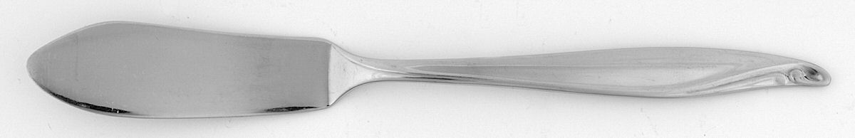 Surf Club (Stainless, Wm A Rogers) Flat Handle Master Butter Knife by Oneida Silver-1