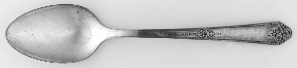 Sweet Briar (Silverplate, 1948) Teaspoon by Oneida Silver-1