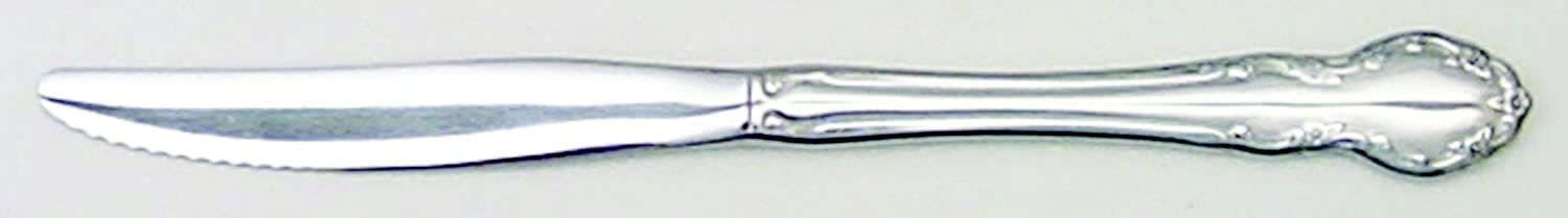 Tennyson (Stainless) Modern Solid Knife by Oneida Silver-1