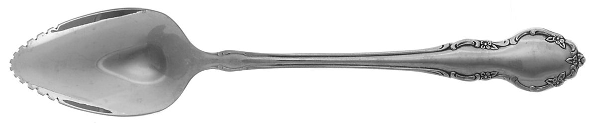 Tennyson (Stainless) Fruit/Orange Spoon by Oneida Silver-1