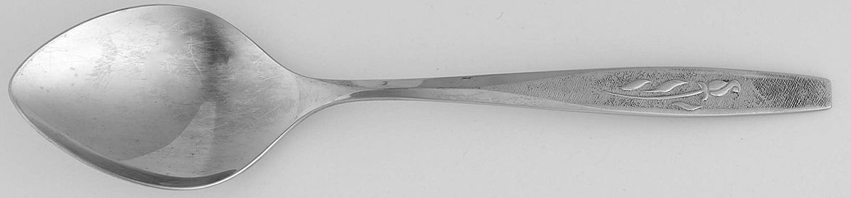 Tender Rose (Stainless) Place/Oval Soup Spoon by Oneida Silver-1