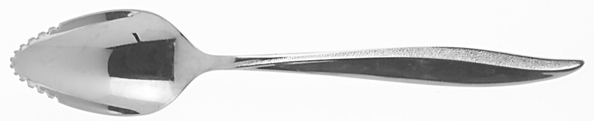Textura (Stainless) Fruit/Orange Spoon by Oneida Silver-1