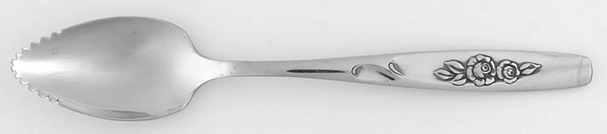Twin Rose (Stainless) Fruit/Orange Spoon by Oneida Silver-1