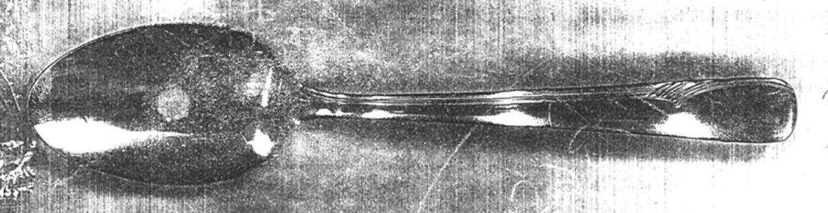 Valor (Stainless) Individual Solid Spaghetti Spoon by Oneida Silver-1