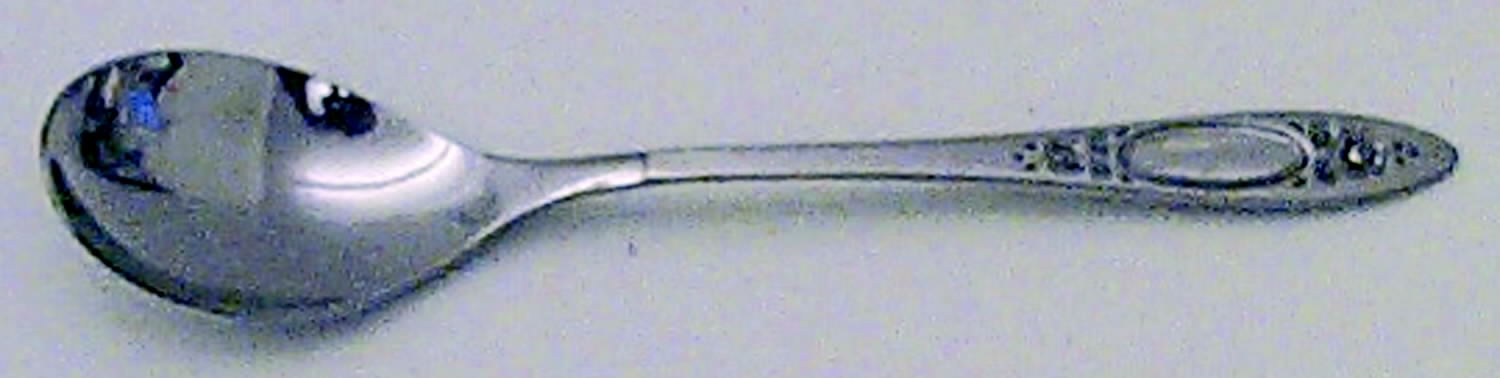 Vignette (Stainless) Ice Cream Spoon Individual by Oneida Silver-1