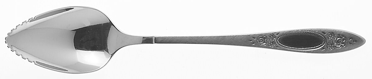 Vignette (Stainless) Fruit/Orange Spoon by Oneida Silver-1