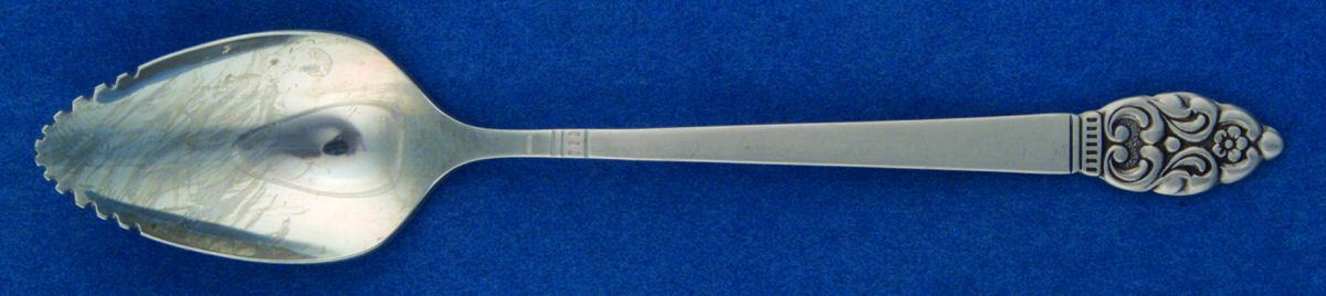 Vinland (Stainless) Fruit/Orange Spoon by Oneida Silver-1