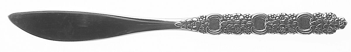 Viola-Voila (Stainless) Flat Handle Butter Spreader by Oneida Silver-1