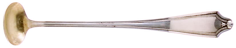 Whittier-Waldorf-Emerson-Claridge  Mustard Spoon by Oneida Silver-1
