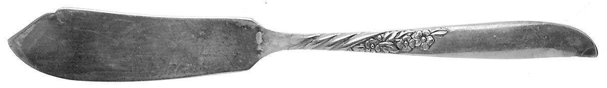 Wildwood I-Always (Silverplate, 1958) Flat Handle Master Butter Knife by Oneida Silver-1