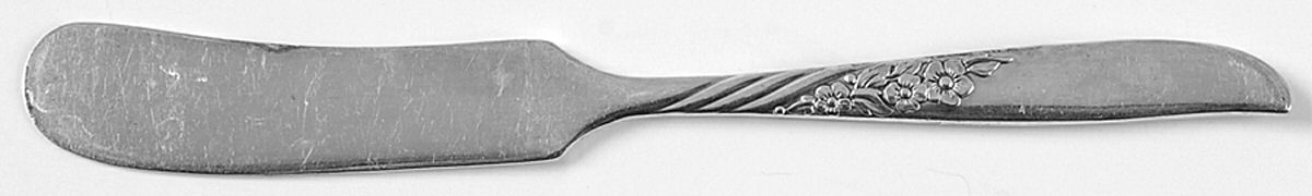 Wildwood I-Always (Silverplate, 1958) Flat Handle Butter Spreader by Oneida Silver-1