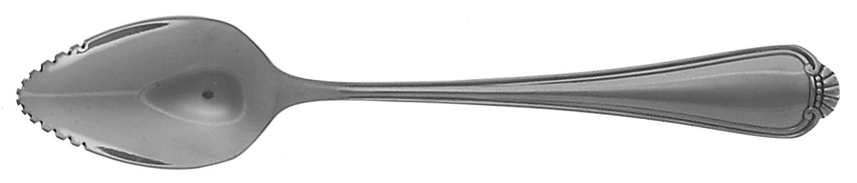 Winter Hill (Stainless) Fruit/Orange Spoon by Oneida Silver-1