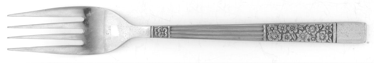 Wildwood (Stainless) Fork by Oneida Silver-1