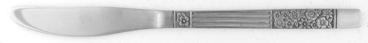 Wildwood (Stainless) Modern Solid Knife by Oneida Silver-1