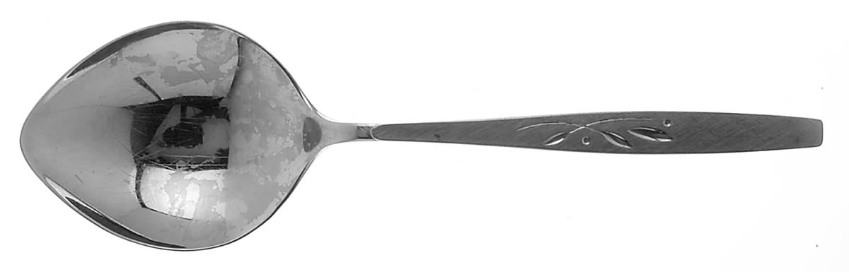 Will O' Wisp (Stainless) Solid Smooth Casserole Spoon by Oneida Silver-1