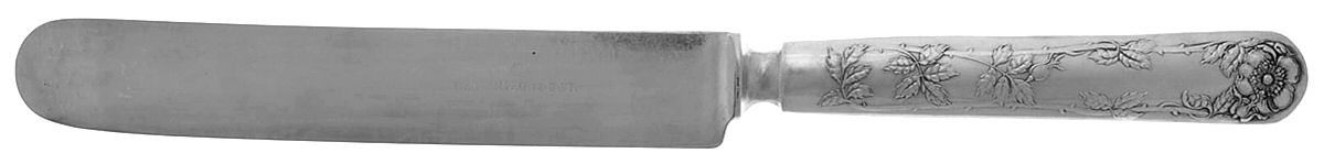 Wild Rose (Silverplate, 1904) Blunt Solid Knife by Oneida Silver-1