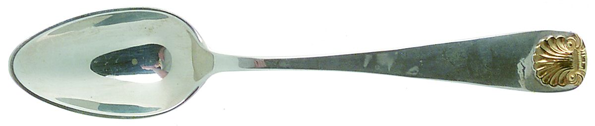 Windsor Shell Gold (Sterling, Gold Accent) Teaspoon by Old Newbury-1