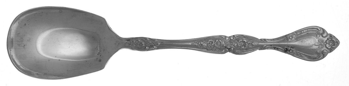 ORL43 (STAINLESS) Sugar Spoon by Orleans-1