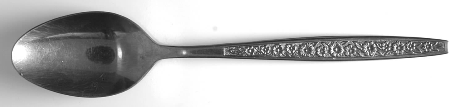 ORL45 (STAINLESS) Teaspoon by Orleans-1