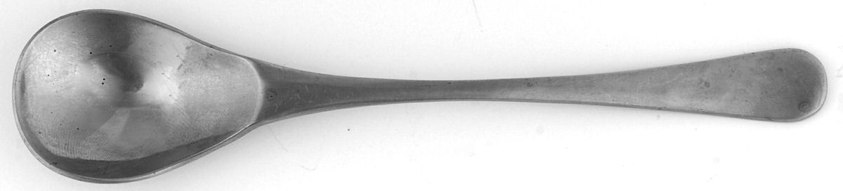 Heron (Stainless) Sugar Spoon by Oxford Hall-1