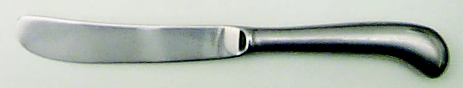 Old Westbury (Stainless) Butter Spreader Hollow Hdl-Paddle/Stainless Blade by Oxford Hall-1