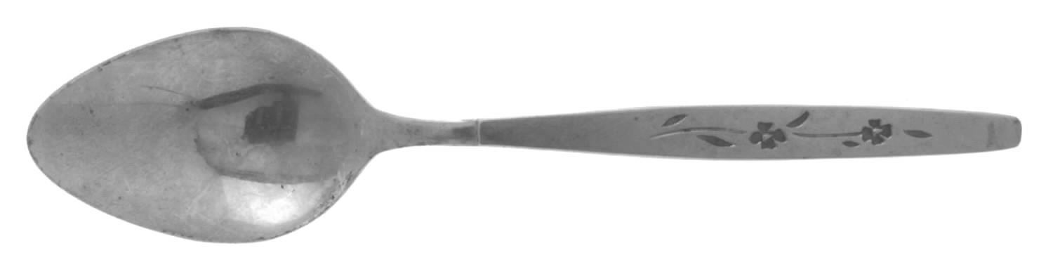 Raddison (Stainless) Teaspoon by Oxford Hall-1