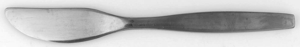 OHS137 (Stainless) Flat Handle Butter Spreader by Oneida Silver-1