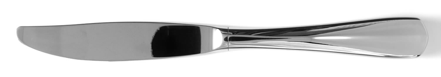 Equator (Stainless) Modern Hollow Butter Spreader (Stainless) by Oneida Silver-1